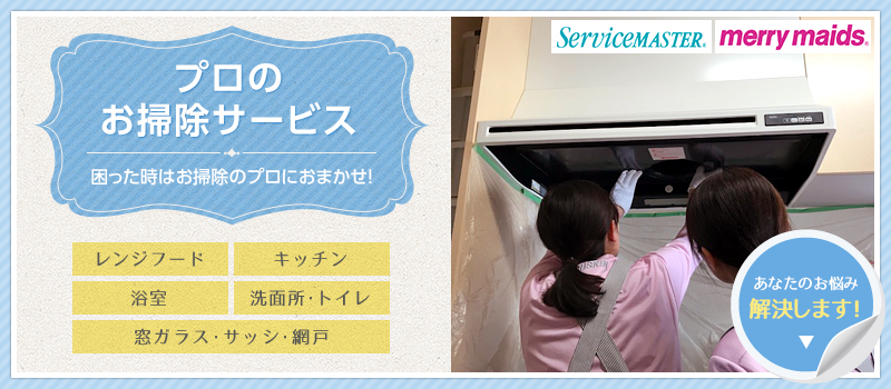 プロのお掃除サービス